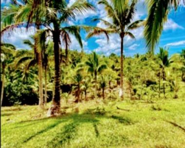 Ernsville Farmlot Tubigon