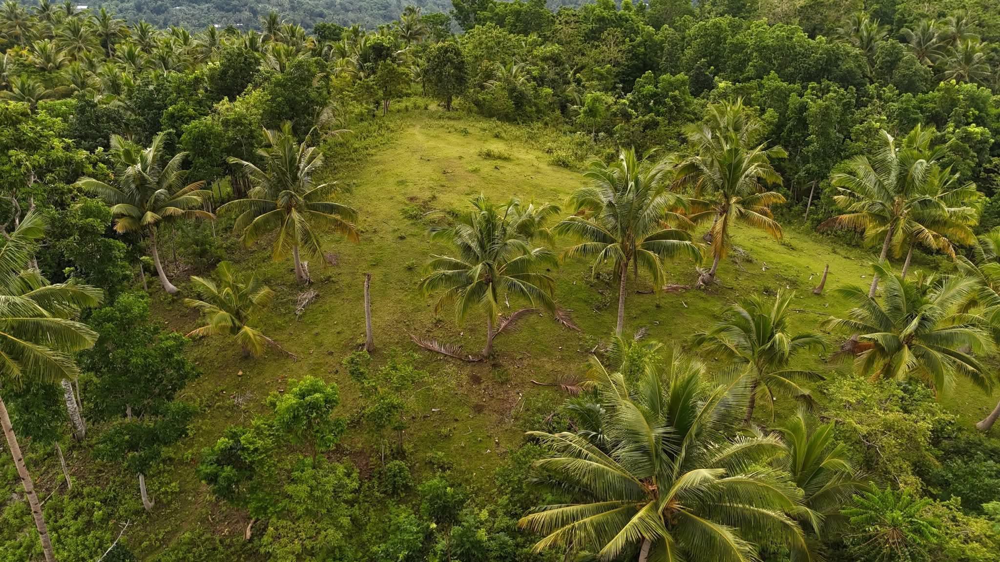 Ernsville Farmlot Tubigon