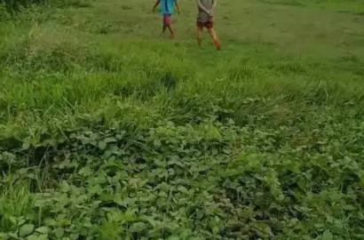 Niña Homes Ubay Dos