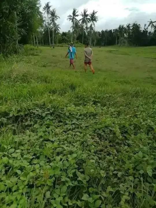 Niña Homes Ubay Dos