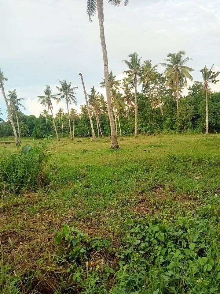 Niña Homes Ubay Dos
