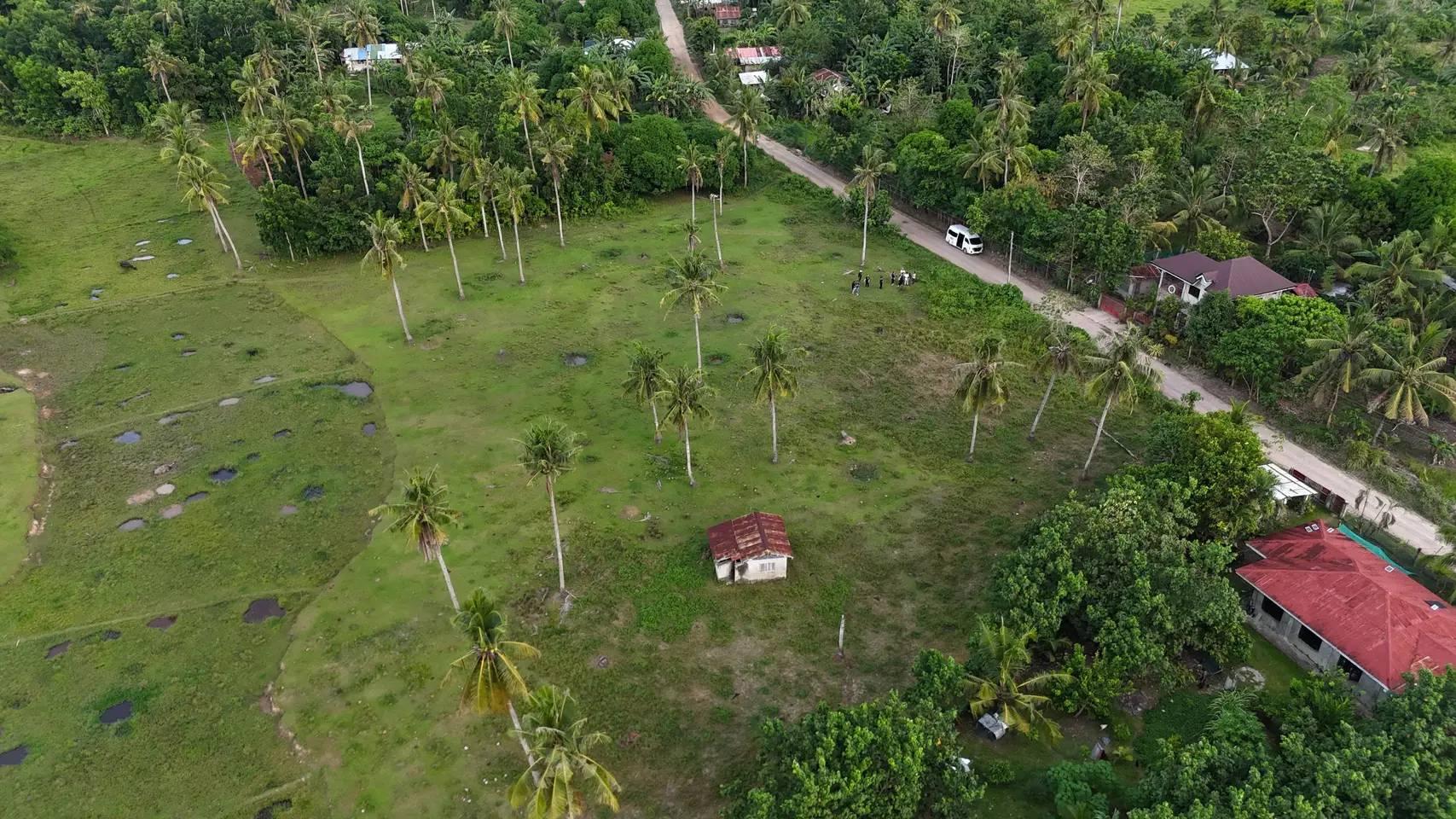 Niña Homes Ubay Dos